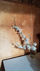 Spring still life with blooming cherry tree branches with wooden rustic background. Twigs of blooming cherry Prunus cerasus