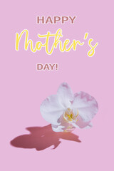 White orchid in miniature vase with hard shadow on pink background with congratulations Happy Mother's Day. Minimalistic concept