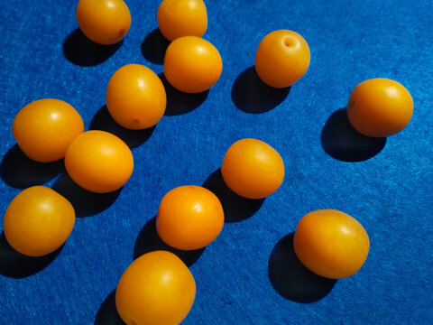 Orange cherry plum on a bright blue textured background