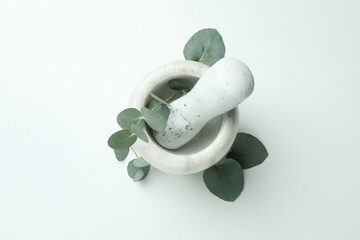 Mortar with eucalyptus twig on white background
