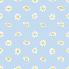 White daisy seamless pattern. Watercolor wildflowers on sky-blue background
