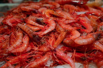 Red prawns in a food market from Palamós	

