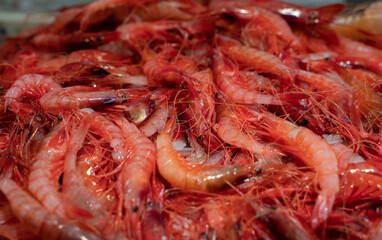 Red prawns in a food market from Palamós	