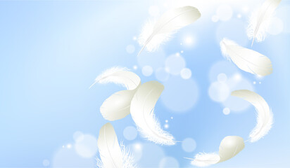 Fototapeta na wymiar Realistic feather cosmetic light background blue sunny sky spring white. 3d template branding landscape illustration