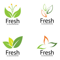 Leaf icon Vector Illustration design Logo template