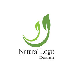 Leaf icon Vector Illustration design Logo template