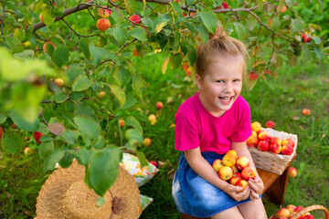 Portrait of children in apple orchard. Little girl in pink Tshirt and denim skirt, sits on stool next to basket with harvest, against background of apple tree branches. Carefree childhood, happy child