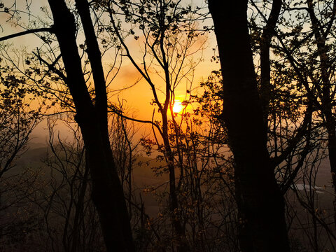 Tramonto sui monti e le colline dell&rsquo;Appennino visto da dietro ai rami degli alberi 