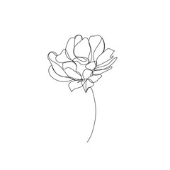 Flower Vector Hand Drawn Line Art Drawing. Minimalist Trendy Contemporary Floral Design Perfect for Wall Art, Prints, Social Media, Posters, Invitations, Branding Design.