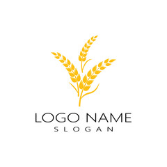 Agriculture wheat vector icon design