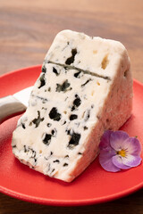 Cheese collection, piece of soft French blue cheese roquefort