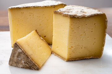 Cheese collection, Tomme de Savoie cheese from Savoy region in French Alps,  mild cow's milk cheese with beige interior and thick brownish-grey rind