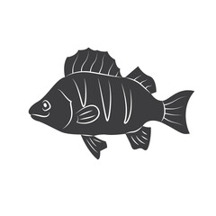 Fish silhouette in line art style. Fish vector illustration on white. Perfectly for fishing shops logo.