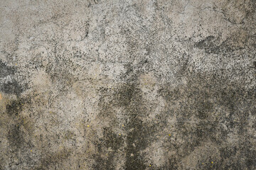 Surface of an old concrete wall
