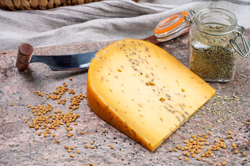 Cheese collection, piece of hard yellow Dutch gouda cheese with dried caraway or cumin seeds