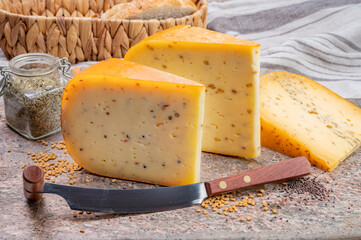 Cheese collection, pieces of hard yellow Dutch gouda cheese with dried caraway, mustard, cumin, fenugreek, pepper seeds