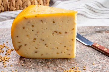 Cheese collection, piece of hard yellow Dutch gouda cheese with dried fenugreek seeds