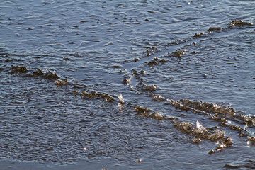 three ice floes collide together