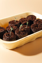 banner with seedlings on a beige background