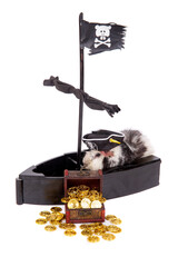 Cute guinea pig in a pirate hat with a treasure chest on the ship