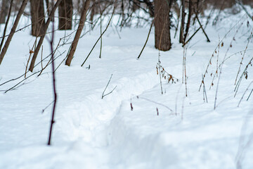 A narrow path trodden in deep snow. Background with footprints of a man in the snow.