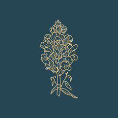 Wildflower Botanical logo outline drawing. Minimal floral vintage style. Doodle plant vector illustration. Pure nature organic brush. Line drawing. Botanical floral badge. Eco product emblem.