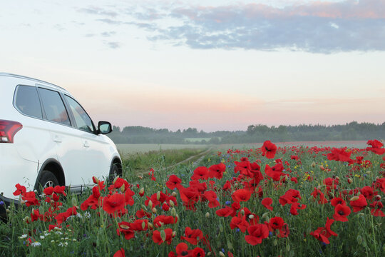 Summertime, tourism, travel, trip, leisure time, vacation mode. Summer landscape with white car and poppy field. A car driving through a field of poppies.