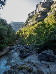 Un torrente baja atravesando los bosques de coníferas y hayas que suben por las laderas de origen glaciar del Parque Nacional de Ordesa, en los Pirineos españoles