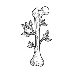 bone tree branch sketch engraving vector illustration. T-shirt apparel print design. Scratch board imitation. Black and white hand drawn image.