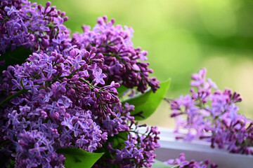 lilac flowers close-up, selective focus