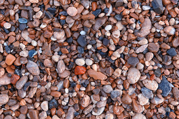 Wet multicolored sea pebbles. Natural natural background texture