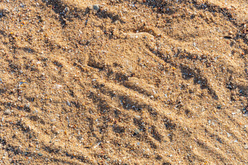 Sand texture on the beach at sunset, sand background, uneven sand pattern
