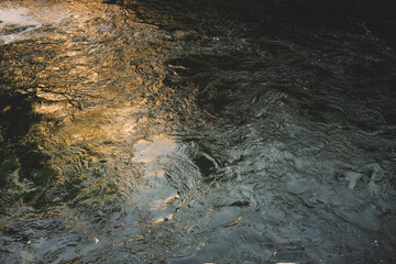 Pretty Golden Light Reflects on Merced River