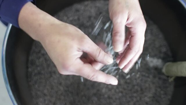 Man hand holding PP Pet Chips Semi Dull, PET chips recycle, PET polyester chips