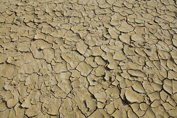 Piste dans le désert du Danakil au nord de l'Ethiopie