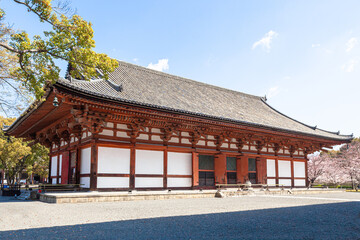 春の京都　東寺
