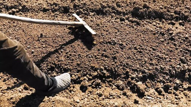 Farmer grinds the soil with a rake in the garden in spring season