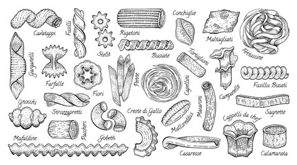 Italian Pasta. Vector food sketch icon set. Doodle macaroni illustration. Hand drawn cooking collection. Pasta Fettuccine Fusilli Gobetti Rigatoni Capellini Conchiglie Tortiglioni Penne Farfalle Fiori