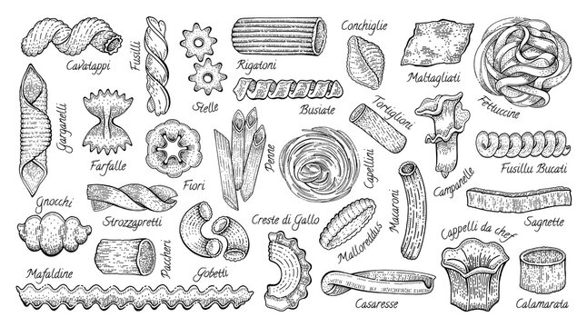 Italian Pasta. Vector food sketch icon set. Doodle macaroni illustration. Hand drawn cooking collection. Pasta Fettuccine Fusilli Gobetti Rigatoni Capellini Conchiglie Tortiglioni Penne Farfalle Fiori