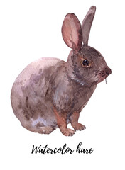 Hand drawn watercolor cute rabbit isolated on white background