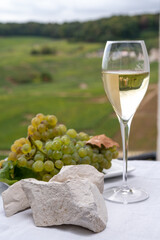 White chalk stones from Cote des Blancs near Epernay, region Champagne, France, glass of blanc de blancs champagne from grand cru vineyards in Cramant and white chardonnay grapes