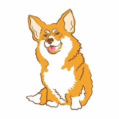 Vector illustration of a dog corgi breed. Welsh corgi pet. A cute dog with a tongue sticking out. Isolated on white background.