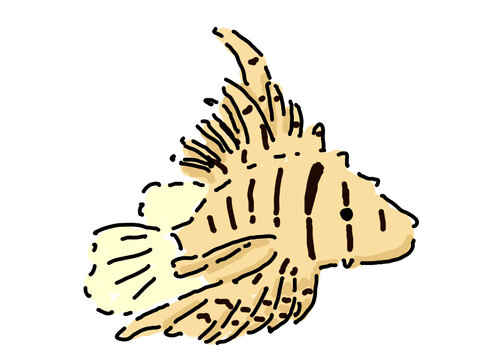 recommend clip art: 泳いでいるミノカサゴ