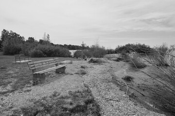 Benches Near Shoreline - Black And White