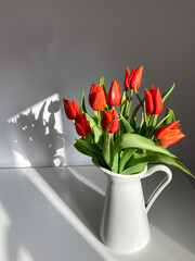 Bouquet of red tulips in a white jug on a the white surface and white background. 