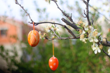 Easter egg decorations hanging in a garden. Selective focus.