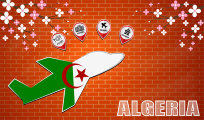plane icon made from the flag of Algeria