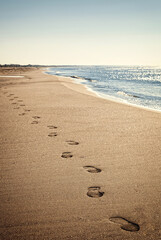 Footprints on the beach without people.