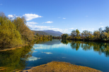 reflection of trees in the river