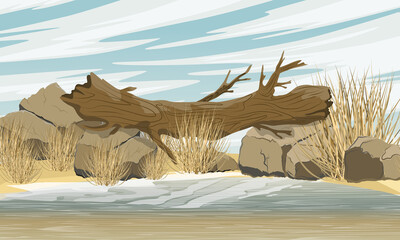 A fallen tree lying on two stones above a lake with sandy and clayey shores. A tree trunk bridge over the lake. Realistic vector landscape © AnnstasAg